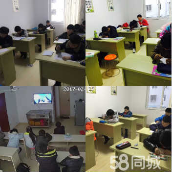 国内教育信息咨询服务 芜湖牧文教育的专业助力